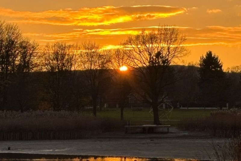 Roter Sonnenuntergang in einem Park